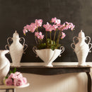 "NAPA Home & Garden, PHALAENOPSIS ORCHID DROP-IN COLLECTION"
