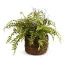 NAPA Home & Garden, Boston Fern Drop-In Collection