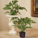 NAPA Home & Garden, LADY FERN DROP-IN 8.5",DI1219