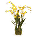 NAPA Home & Garden, Dancing Orchid Drop-In