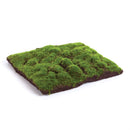 Napa Home Garden, CC 12" MOSS PAD FOREST GREEN