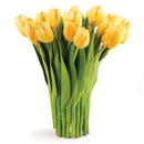 Napa Home Garden, CC 12.5" DUTCH TULIP BUNDLE DROP