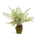 NAPA Home & Garden, SOFT FERN DROP-IN
