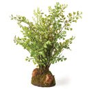 NAPA Home & Garden, SOFT FERN DROP-IN