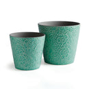 NAPA Home & Garden, POSY POTS Collection