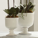 Sinclair Footed Urn by NAPA Home & Garden
