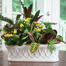 NAPA Home & Garden, HILLINGDON CACHEPOT Collection