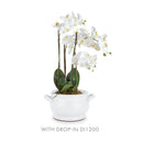 NAPA Home & Garden, BRADFORD FOOTED BOWL,F5160