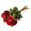 Napa Home Garden, ENGLISH ROSE BUNDLE/6 RED