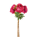 NAPA Home & Garden, Peonies Bundle