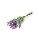 NAPA Home & Garden, FRENCH LAVENDER 11", BUNDLE OF 12
