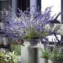 NAPA Home & Garden, FRENCH LAVENDER BUSH 34",GP225