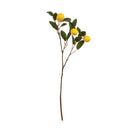 NAPA Home & Garden, LEMON BRANCH 29.5"