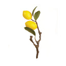 NAPA Home & Garden, LEMON CUTTING 11"