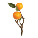 Napa Home Garden, ORANGE CUTTING 10.5"