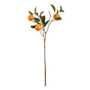 NAPA Home & Garden, ORANGE BRANCH 28.5"