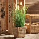 NAPA Home & Garden, WILD GRASS DROP-IN 16‚Äù,GP246