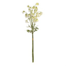 Napa Home Garden, SWEET PEA STEMS BNDL/2 CREAM/GREEN