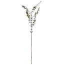 NAPA Home & Garden, EUCALYPTUS BRANCH 44"