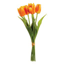 NAPA Home & Garden, DUTCH TULIPS 15", BUNDLE OF 6