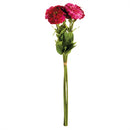 Napa Home Garden, GARDEN ZINNIAS 26" BNDLE/6 PK/PR/VT