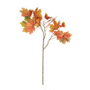 NAPA Home & Garden, Maple Leaf Branch Collection