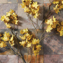NAPA Home & Garden, Maple Leaf Branch Collection