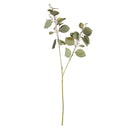NAPA Home & Garden, Silver Dollar Eucalyptus Branch