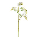 NAPA Home & Garden, WISTERIA STEM