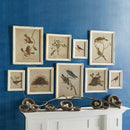 NAPA Home & Garden, FRAMED AVIARY BIRD & NEST HABITAT PRINTS, SET OF 9,HC115
