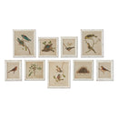 NAPA Home & Garden, FRAMED AVIARY BIRD & NEST HABITAT PRINTS, SET OF 9