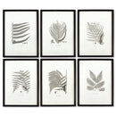 NAPA Home & Garden, FRAMED GRAY-TONE FERN PRINTS, SET OF 6