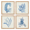 NAPA Home & Garden, FRAMED CORAL WATERCOLOR PRINTS, SET OF 4