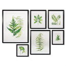 Napa Home Garden, LEAF STUDY WATERCOLOR GALLERY ,SET OF 6