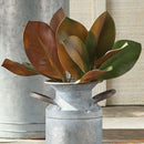 NAPA Home & Garden, GRAND MAGNOLIA COLLECTION