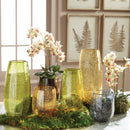 "NAPA Home & Garden, PHALAENOPSIS ORCHID DROP-IN COLLECTION"