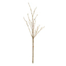 NAPA Home & Garden, PUSSYWILLOW STEMS 52", BUNDLE OF 2