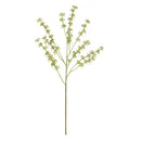 NAPA Home & Garden, EUCALYPTUS SEED SPRAY 28"