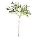 Napa Home Garden, OLIVE 22" STEM W OLIVES