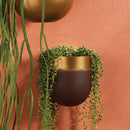 NAPA Home & Garden, LACEY WALL CACHEPOT,MJ401