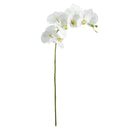 "NAPA Home & Garden, PHALAENOPSIS ORCHID DROP-IN COLLECTION"