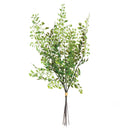 NAPA Home & Garden, MAIDENHAIR FERN STEMS, BUNDLE OF 7