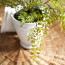 NAPA Home & Garden, SOFT FERN DROP-IN