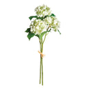 NAPA Home & Garden, HYDRANGEA STEMS, BUNDLE OF 2