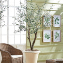 NAPA Home & Garden, GRAND TREE DROP-IN COLLECTION