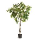 NAPA Home & Garden, GRAND TREE DROP-IN COLLECTION