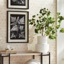 NAPA Home & Garden, DARLA and COLTON VASE Collection