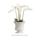 NAPA Home & Garden, LINEA & COLETTA DECORATIVE COLLECTION