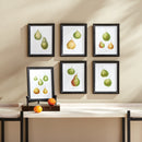 NAPA Home & Garden, PEAR STUDY, SET OF 6,N2NH02