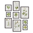 NAPA Home & Garden, FOLIAGE PRINTS, SET OF 9